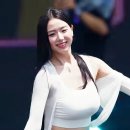 실하다 이미지