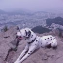 해피락(주) 이미지