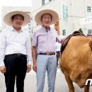 봉평전통시장(봉평시장) 이미지