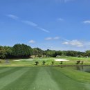 해비치cc 이미지