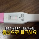 임신가능한시기 배란일 증상으로 임신가능일 체크해요. 이미지