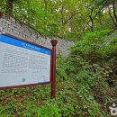 춘천시동물보호센터 | [강원도 춘천시] 소양강처녀상 - 전 견종 가능 · 배변봉투 지참