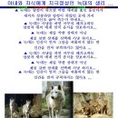 차진구님의 글 - 늑대같은 남자와 여우 같은 여자 이미지