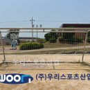 현덕초등학교 이미지