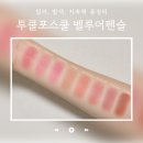 투쿨포스쿨 - 중구 장충단로 251 | 투쿨포스쿨 벨루어펜슬 전색상 발색 후기｜애교살 오버립 메이크업 치트키!