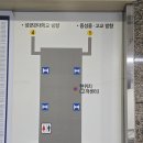 [진료후기]서울대학병원_2025년 9월 3일_청각검사 결과 &amp; 맵핑/언어평가 결과 / 담당의 이준호교수 진료