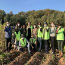 이경숙농장 이미지