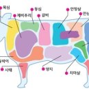 ＜ 11월 25일자 실습＞ 메뉴관리 이미지