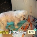 오일육