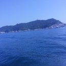 제주 사수도 바닷새류(흑비둘기,슴새)번식지 이미지