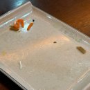 맛있는 김밥천국 이미지