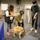 프랑소와펫 아카데미 이미지