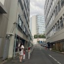 하모니 | 흐꺙 쇼룸 서촌점 방문 후기🥿🥿_(하모니 컬러, 사이즈 추천)