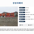 강성자헤어