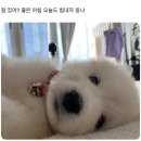 윈PC | [공기업 취업] 공기업 스펙 쌓기, '윈스펙'으로 완성하자 !