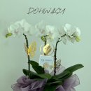 한국에너지공단(로비층) | 울산 한국에너지공단 로고 토퍼 취임난 배송 후기｜부산 울산 취임난·승진난·개업난