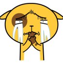 삼층고양이 이미지