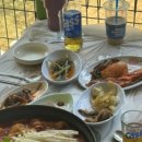 들물 관광농원 네이버블로그