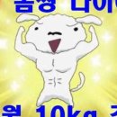 호수파워점프