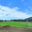 경상목장 이미지