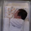 더플라워 산후조리원 일산점 이미지