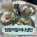 할머니냉면 - 동대문구 무학로34길 56 | 서울 청량리 할머니냉면 후기 냉면맛집 경동시장 매운냉면 맛집 유명한 이유