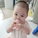 한영체육관 | 가계부로 정리하는 육아템: #5 생후 6개월 ~ 1년 (1)