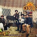 애니멀즈 이미지