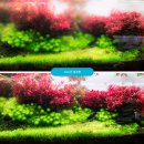 50톤 아쿠아리움 수조에 탁도를 개선해보자 네오클린 사용후기