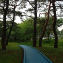 조산 이미지