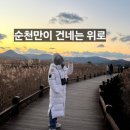 순천만 그리고 나 | 순천만이 건넨 위로, 2박 3일 치유여행 기록