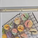 소소연담 이미지