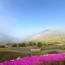 남해-137 이미지