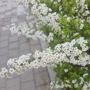생각나무논술교습소 - 광명시 범안로 1042 | 생각나무논술교습소