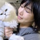 이수민농장 이미지