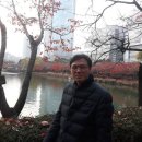 Korean painter Gwansong Kim Sun-il 이미지