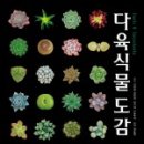 시온꽃집 네이버블로그