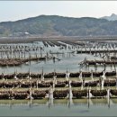 선창마을 이미지