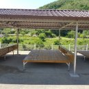 미스터샤크유도짐 이미지