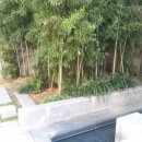 천안종합터미널 이미지