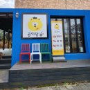카카오 이미지