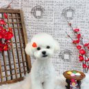 릴리줄리살롱 이미지