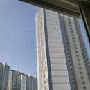 문수산더샵 | [울산 방충망 교체] 범서읍 굴화리 문수산더샵 미세 방충망 시공으로 벌레 없는 우리 집