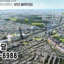 블루테라스 이미지