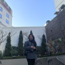 도트엘