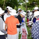 수림지 파크골프장2 이미지