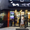 다온애견샵 이미지