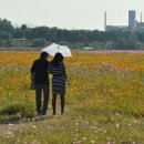 남과여 - 4339 | 남과여