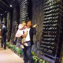 와인터널 이미지