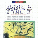 정해천 | 살아있는 늪